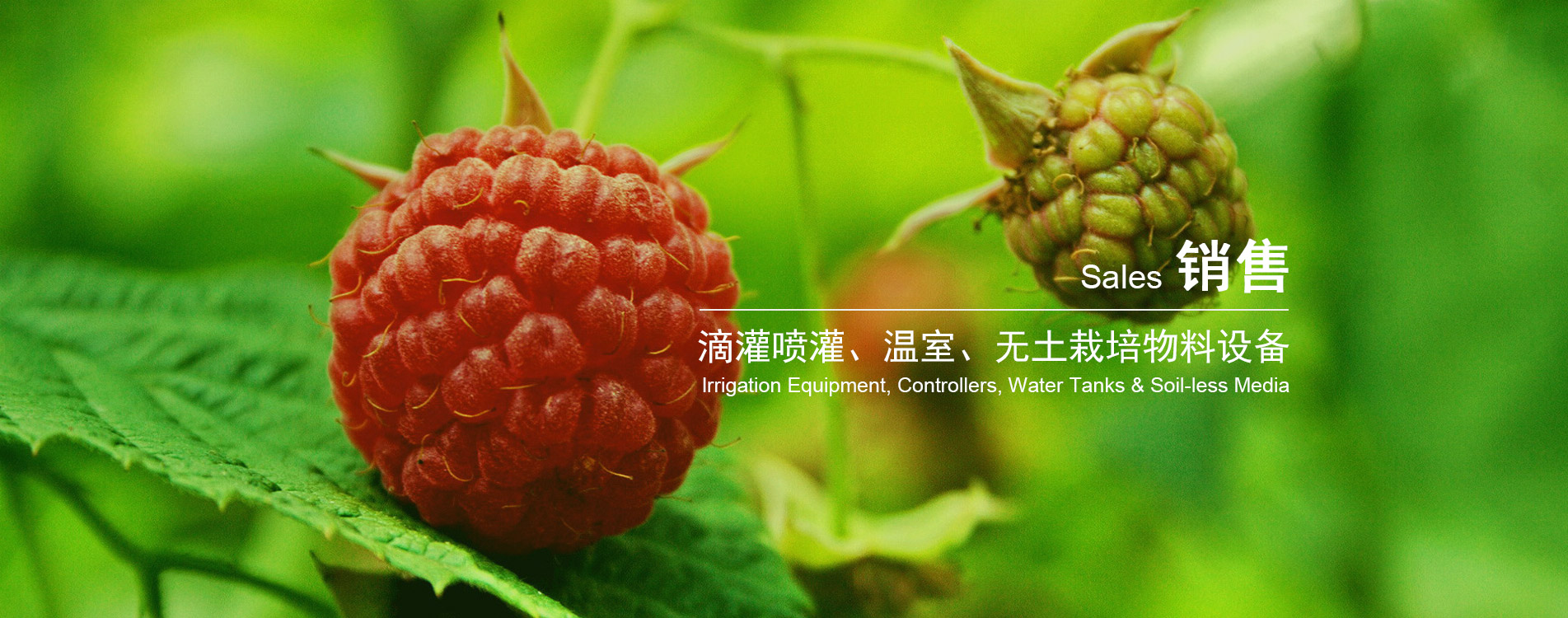 www.ayx.com