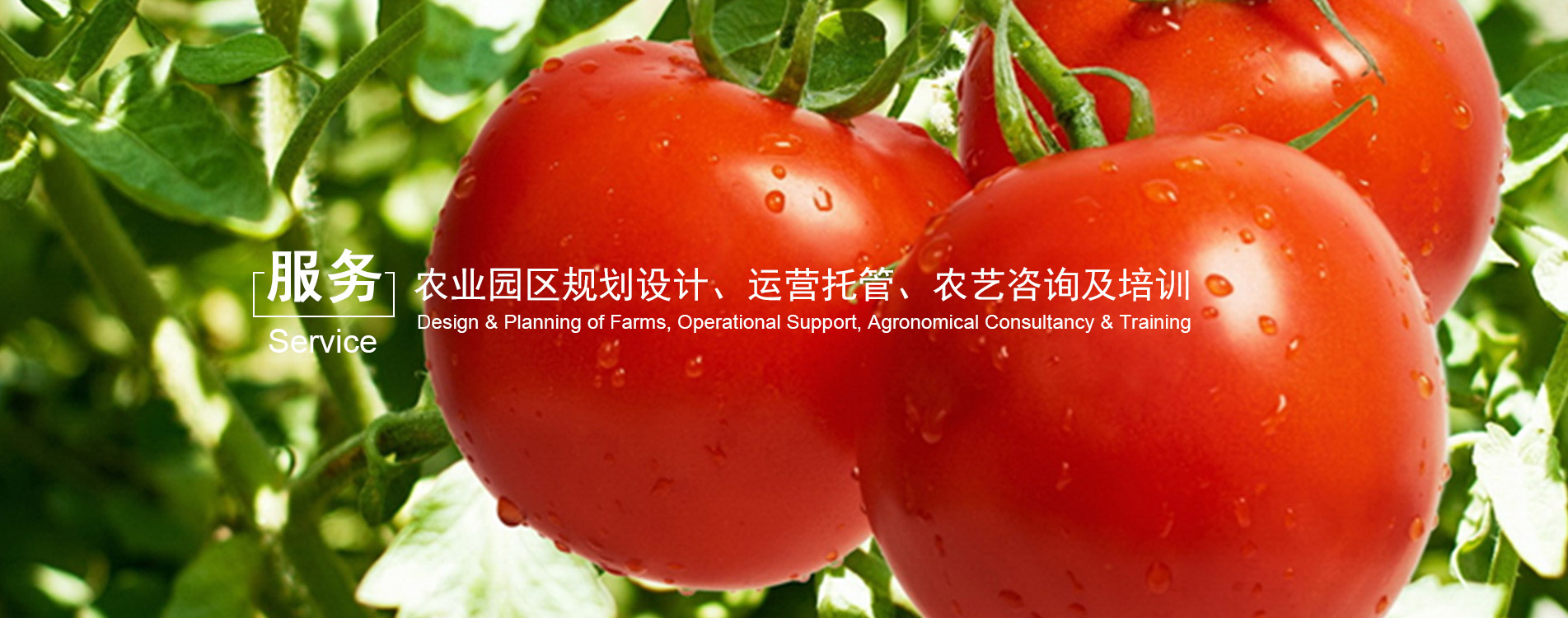 www.ayx.net